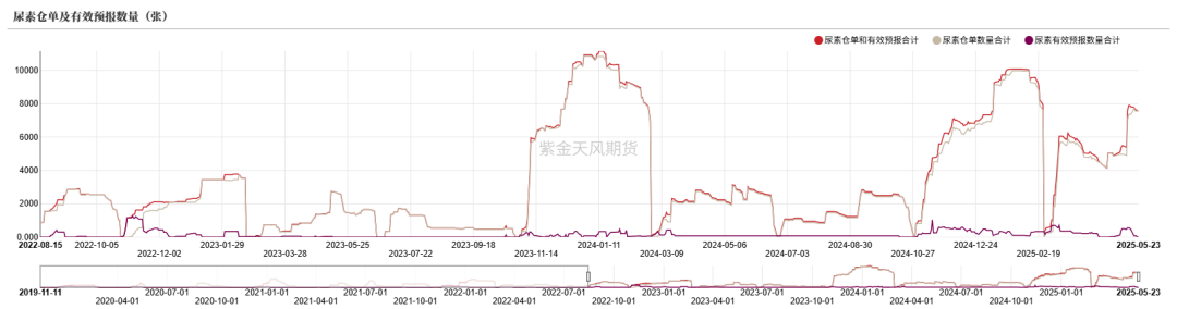 数据来源：郑商所,WIND,紫金天风期货