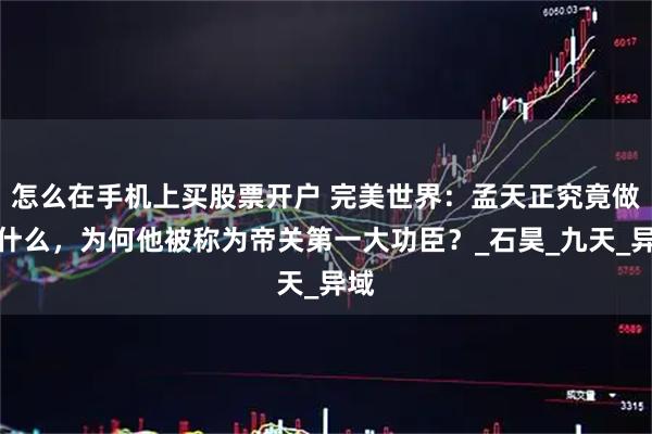 怎么在手机上买股票开户 完美世界：孟天正究竟做了什么，为何他被称为帝关第一大功臣？_石昊_九天_异域